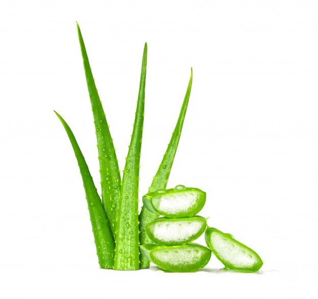 Aloe vera në Men's Defence