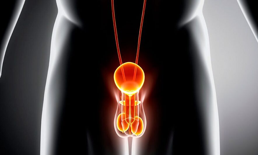 Sistemi gjenitourinar i përflakur për prostatitin