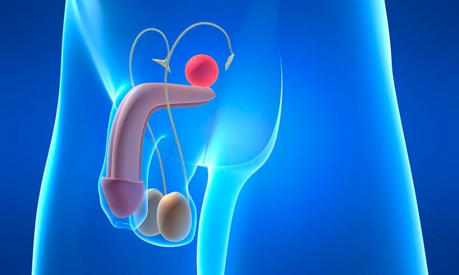 edemë e prostatës me prostatit